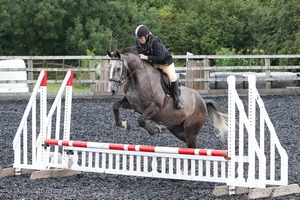 Class 3 -  Fences not above 2'3